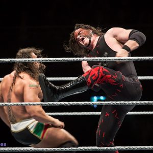 WWE Live in de Ziggo Dome
