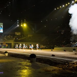 European Superpull 2017 in Rotterdam Ahoy