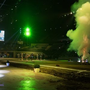 European Superpull 2017 in Rotterdam Ahoy