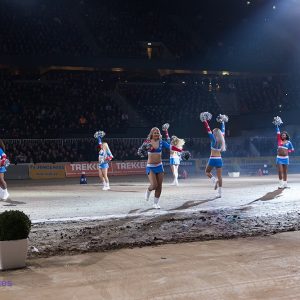 European Superpull 2017 in Rotterdam Ahoy