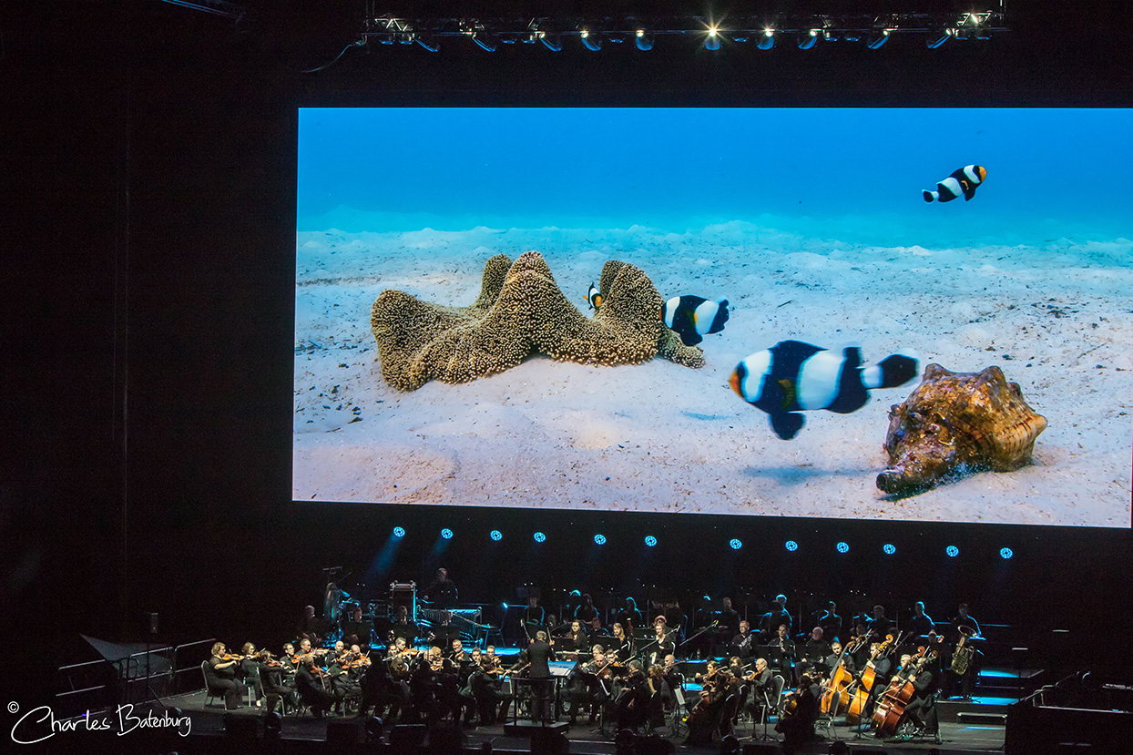 Blue Planet II – Live In Concert in Rotterdam Ahoy