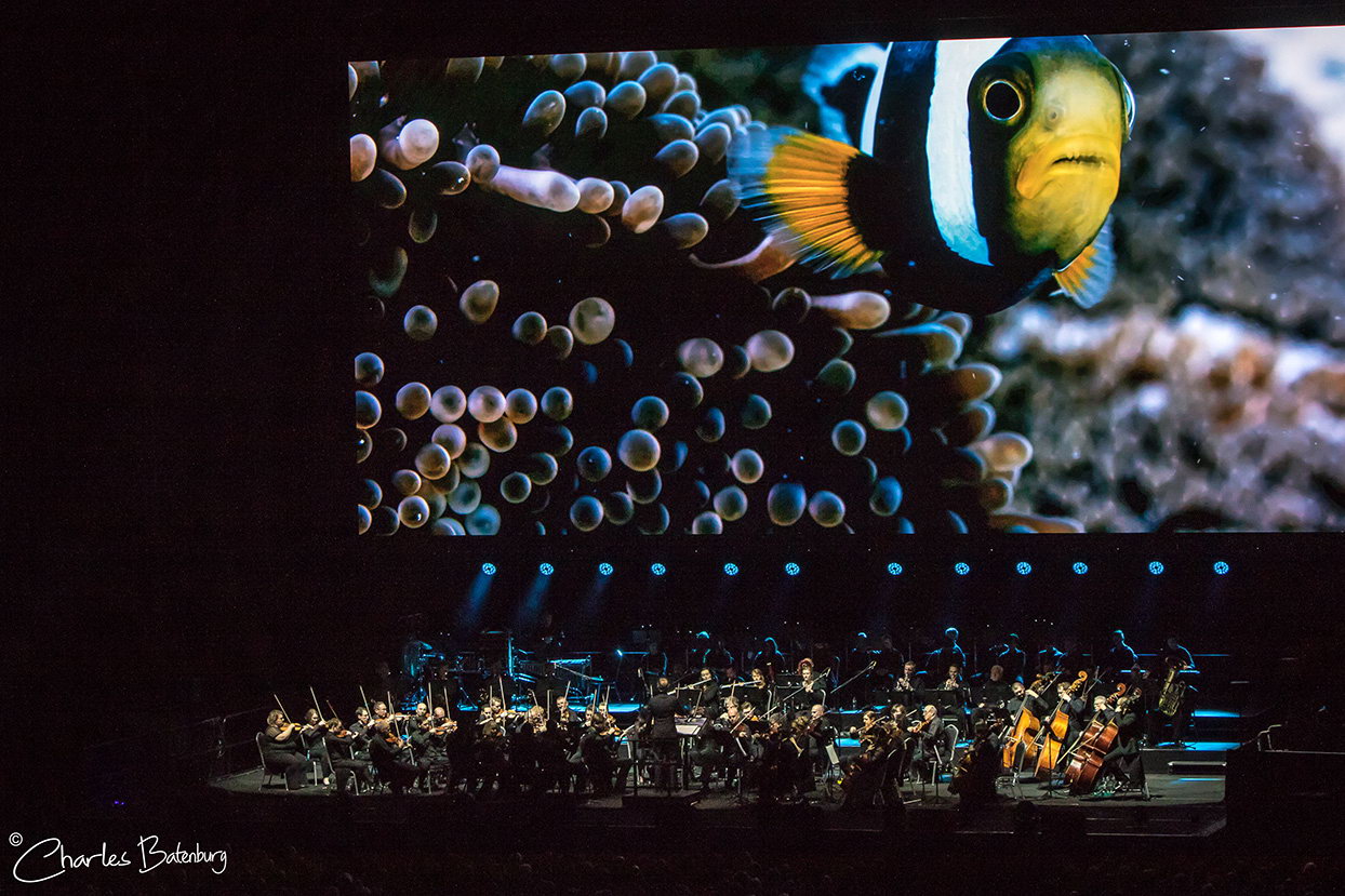 Blue Planet II – Live In Concert in Rotterdam Ahoy
