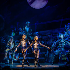CATS – The Musical in Rotterdam Ahoy