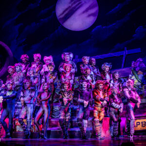 CATS – The Musical in Rotterdam Ahoy