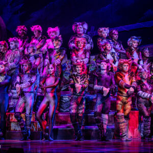 CATS – The Musical in Rotterdam Ahoy