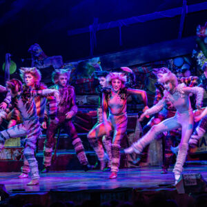 CATS – The Musical in Rotterdam Ahoy