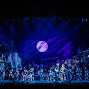 CATS – The Musical in Rotterdam Ahoy