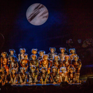 CATS – The Musical in Rotterdam Ahoy