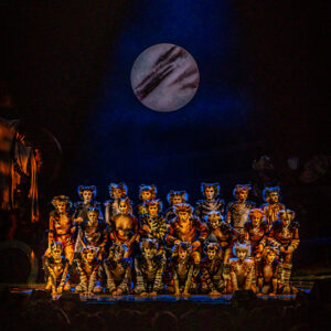 CATS – The Musical in Rotterdam Ahoy