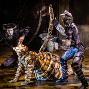 CATS – The Musical in Rotterdam Ahoy