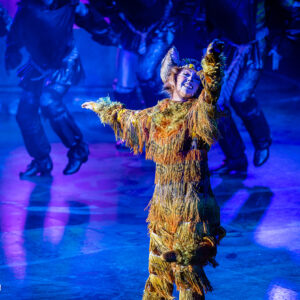 CATS – The Musical in Rotterdam Ahoy