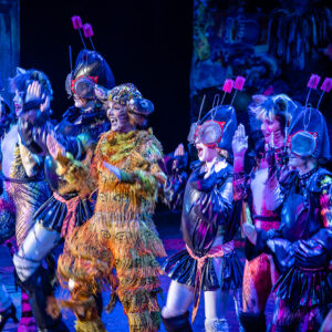 CATS – The Musical in Rotterdam Ahoy