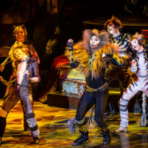 CATS – The Musical in Rotterdam Ahoy