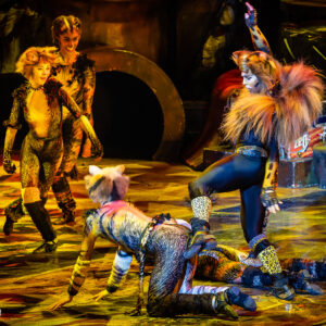 CATS – The Musical in Rotterdam Ahoy