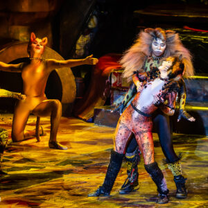 CATS – The Musical in Rotterdam Ahoy