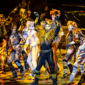 CATS – The Musical in Rotterdam Ahoy