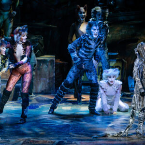 CATS – The Musical in Rotterdam Ahoy