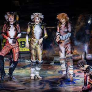 CATS – The Musical in Rotterdam Ahoy