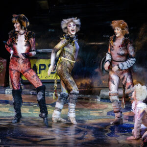 CATS – The Musical in Rotterdam Ahoy