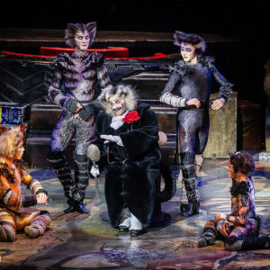 CATS – The Musical in Rotterdam Ahoy