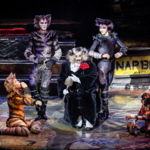 CATS – The Musical in Rotterdam Ahoy