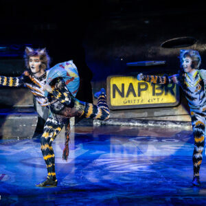 CATS – The Musical in Rotterdam Ahoy