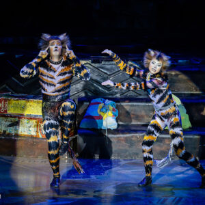CATS – The Musical in Rotterdam Ahoy