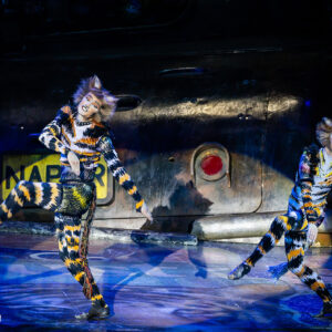 CATS – The Musical in Rotterdam Ahoy