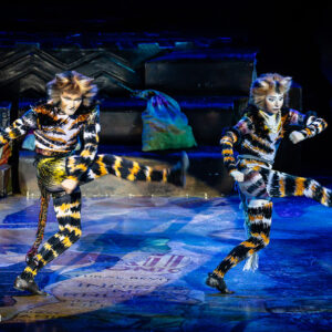 CATS – The Musical in Rotterdam Ahoy