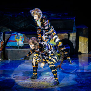 CATS – The Musical in Rotterdam Ahoy
