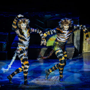 CATS – The Musical in Rotterdam Ahoy