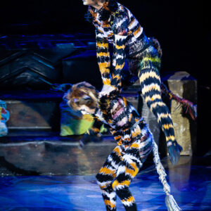 CATS – The Musical in Rotterdam Ahoy