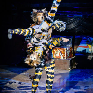 CATS – The Musical in Rotterdam Ahoy