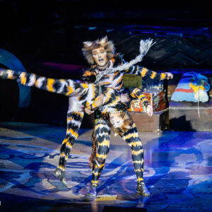 CATS – The Musical in Rotterdam Ahoy