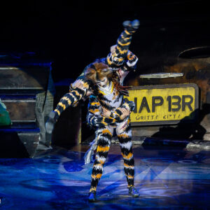CATS – The Musical in Rotterdam Ahoy