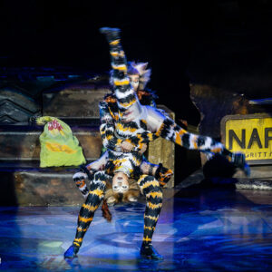 CATS – The Musical in Rotterdam Ahoy