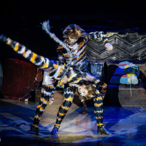 CATS – The Musical in Rotterdam Ahoy