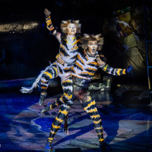 CATS – The Musical in Rotterdam Ahoy