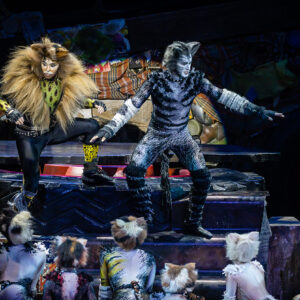 CATS – The Musical in Rotterdam Ahoy