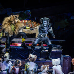 CATS – The Musical in Rotterdam Ahoy