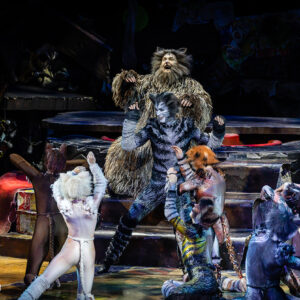 CATS – The Musical in Rotterdam Ahoy