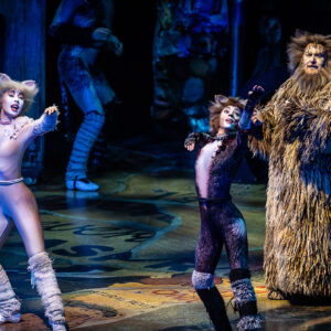 CATS – The Musical in Rotterdam Ahoy