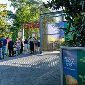 Ruth Jacott – Zuiderpark Live Den Haag