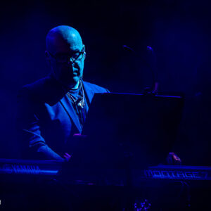 Pink Project – Zuiderpark Live Den Haag