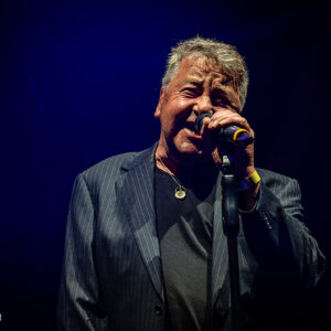 Pink Project – Zuiderpark Live Den Haag