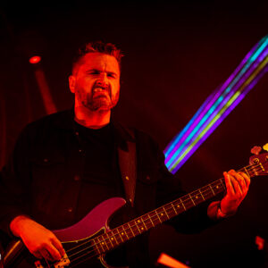 Pink Project – Zuiderpark Live Den Haag