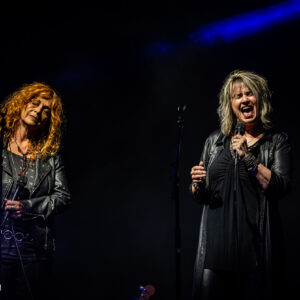 Pink Project – Zuiderpark Live Den Haag