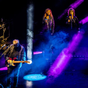 Pink Project – Zuiderpark Live Den Haag