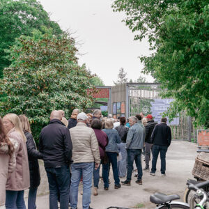 Edwin Evers Band – Zuiderpark Live Den Haag