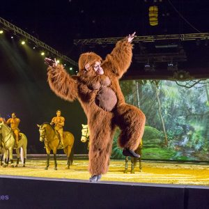 Apassionata in Ahoy